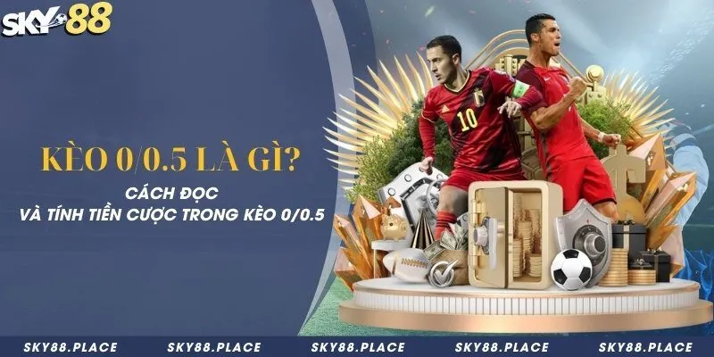 Kèo 0/0.5 là gì? Cách đọc và tính tiền cược trong kèo 0/0.5 5 Kèo 0/0.5 là gì? Cách đọc và tính tiền cược trong kèo 0/0.5