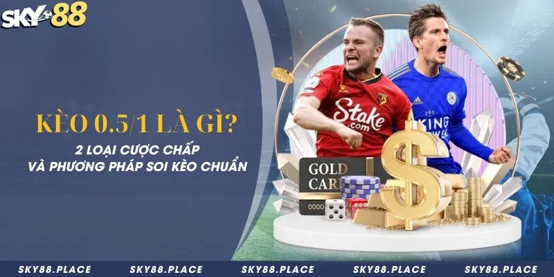 Kèo 0.5/1 là gì? 2 loại cược chấp và phương pháp soi kèo chuẩn 7 Kèo 0.5/1 là gì? 2 loại cược chấp và phương pháp soi kèo chuẩn